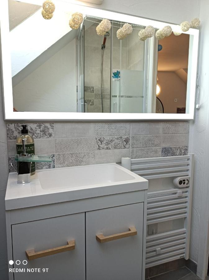 Très beau studio Trois Etoiles, WiFi, Parking Privé Jardin Montargis Exterior foto