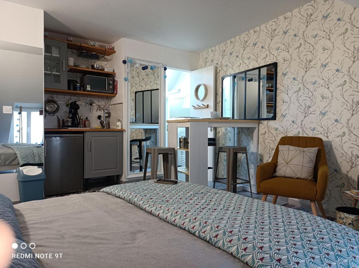 Très beau studio Trois Etoiles, WiFi, Parking Privé Jardin Montargis Exterior foto